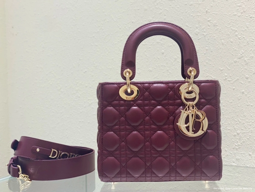Tony Luxuries diro ABCdiro MY LADY BAG-20CM 0804